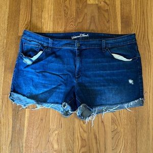 Universal thread Jean shorts